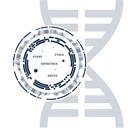 Precise genetic analysis with epicGEN Solid Cancer & MSI Kit